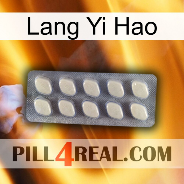 Lang Yi Hao 08.jpg